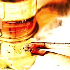 Super Naked, Plum + Chia Oil 17 Super Naked, Plum + Chia Oil -WELA Beauty Shop 7 cb736ee9 63ae 4796 a596 f4e3dde1e902