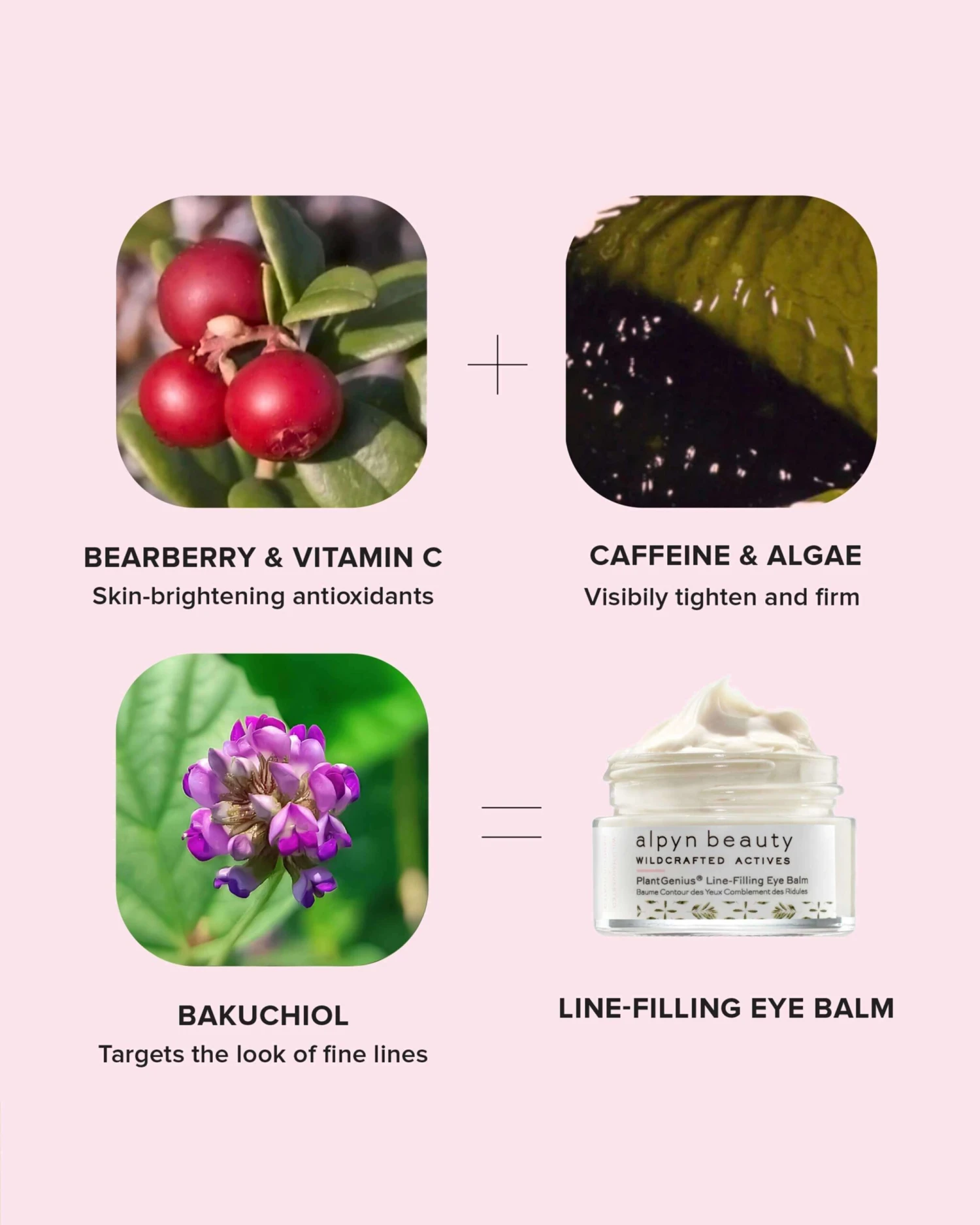 PlantGenius Line-Filling Eye Balm With Bakuchiol 8 PlantGenius Line-Filling Eye Balm With Bakuchiol - Image 6