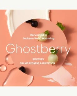 Super Peptide & Ghostberry Barrier Repair Cream -WELA Beauty Shop Alpyn SuperPeptideGhostberryBarrierRepairCream Ghostberry 09