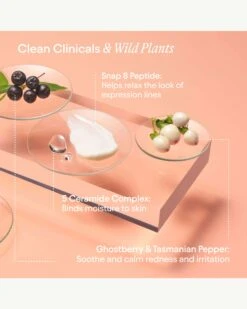 Super Peptide & Ghostberry Barrier Repair Cream -WELA Beauty Shop Alpyn SuperPeptideGhostberryBarrierRepairCream Ingredients 06