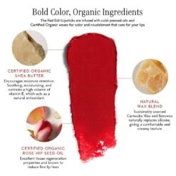 The Red Edit Lipstick Refill -WELA Beauty Shop CopyofCredo Red Edit Lipsticks Infographics v4