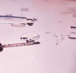 Watermelon Dreams: The Absolute Oil -WELA Beauty Shop DSC044862