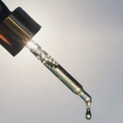 Algae + Moringa Universal Face Oil -WELA Beauty Shop Edits 31