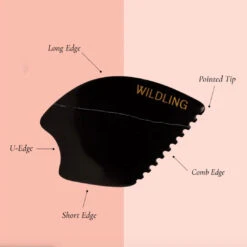 Empress Stone -WELA Beauty Shop EmpressDiagram