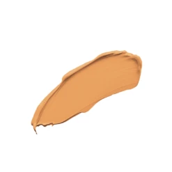 On The Go Perfecting Concealer 31 On The Go Perfecting Concealer -WELA Beauty Shop Honey 1