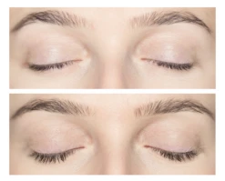 Lash And Brow Enhancing Serum -WELA Beauty Shop KathrynResults