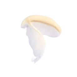 Moringa All-Beauty Creme -WELA Beauty Shop MoringaCreme Swatch 1080x1080 2a26e532 86b4 429d b2dc fc69a19ff3ed