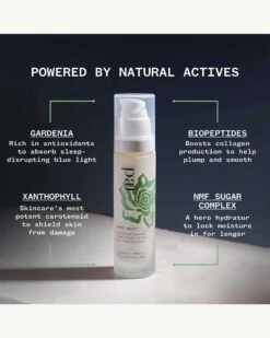 Bonne Nuit™ BioPeptide Renewal Overnight Cream -WELA Beauty Shop Pai BonneNuitCream Ingredients 05