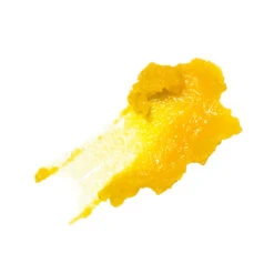 Papaya SOS Marmalade 14 Papaya SOS Marmalade -WELA Beauty Shop PapayaMarmalade Swatch 1080X1080 4322278f bd93 4611 b01a e55d84f71c24