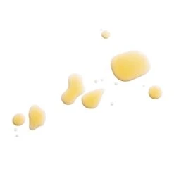 Retinoic Nutrient Face Oil -WELA Beauty Shop RetinoicNutrientFaceOil Goop 2400x3680px 300dpi