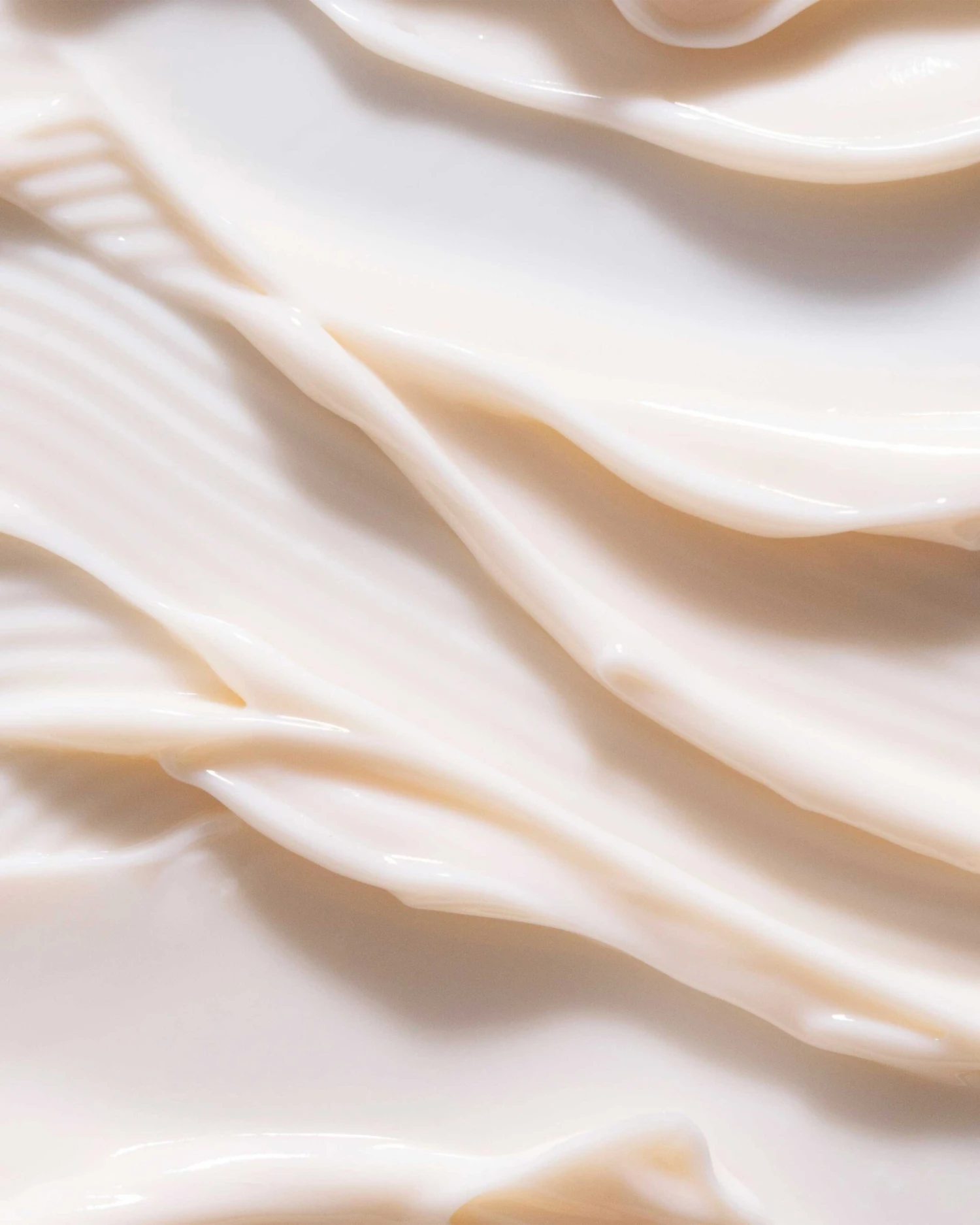 Dream Bio-Retinol + Shorea Butter Night Cream 4 Dream Bio-Retinol + Shorea Butter Night Cream - Image 2