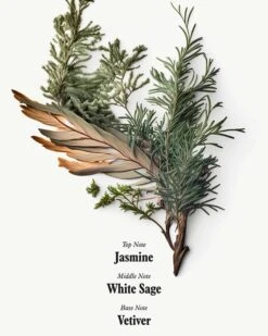 Uni 24 Hour Serum -WELA Beauty Shop Uni BodySerum Ingredients 04