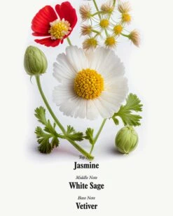 Uni Skin Shield Body Wash 13 Uni Skin Shield Body Wash -WELA Beauty Shop Uni BodyWash 0Ingredients 04