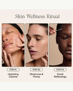 Moonbounce 2% Bioretinol Irish Sea Moss Plumping Moisturizer -WELA Beauty Shop Wildling MoonbounceMoisturizer Ritual 05