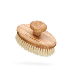 Aura Collection -WELA Beauty Shop aura brush floating