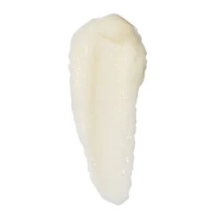 Full Body Collection -WELA Beauty Shop biome body cleanse 1080 x 1080 no shadow